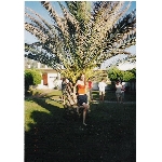 missnet-sejmout0001.jpg
Po�et zobrazen�: 3150 (6857.8344 dn�) pr.=0.4593
Rozm�r: 522 x 742 pixel
Velikost: 97.119 kB