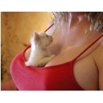 prsa.jpg
Po�et zobrazen�: 3950 (6857.1667 dn�) pr.=0.5760
Rozm�r: 571 x 444 pixel
Velikost: 114.772 kB