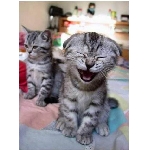 smich.jpg
Po�et zobrazen�: 3803 (6855.3133 dn�) pr.=0.5548
Rozm�r: 350 x 469 pixel
Velikost: 59.91 kB