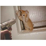 strelba95.jpg
Po�et zobrazen�: 3845 (6858.0322 dn�) pr.=0.5607
Rozm�r: 482 x 362 pixel
Velikost: 41.292 kB