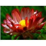 Zobrazeno: 12567 (6839.2991 dn�) pr.=1.8375 
Zn�mka: 2.0113 (1511 x) 
SMS bod�: 0/0