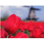 Zobrazeno: 12781 (6839.2991 dn�) pr.=1.8688 
Zn�mka: 2.0226 (1457 x) 
SMS bod�: 0/0