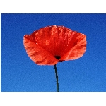 Zobrazeno: 12441 (6839.2991 dn�) pr.=1.8190 
Zn�mka: 1.9380 (1501 x) 
SMS bod�: 0/0