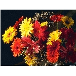 Zobrazeno: 12577 (6839.2991 dn�) pr.=1.8389 
Zn�mka: 2.0371 (1562 x) 
SMS bod�: 0/0