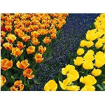 Zobrazeno: 12388 (6839.2991 dn�) pr.=1.8113 
Zn�mka: 1.9959 (1464 x) 
SMS bod�: 0/0