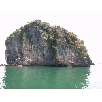 thajsko011175.jpg
Po�et zobrazen�: 3624 (6249.6167 dn�) pr.=0.5799
Rozm�r: 600 x 449 pixel
Velikost: 183.36 kB