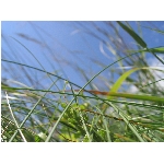 Zobrazeno: 13748 (6839.2892 dn�) pr.=2.0102 
Zn�mka: 2.0200 (1498 x) 
SMS bod�: 0/0