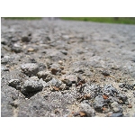 Zobrazeno: 12609 (6839.2892 dn�) pr.=1.8436 
Zn�mka: 2.0081 (1476 x) 
SMS bod�: 0/0