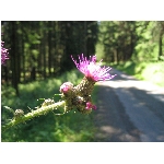 m144_4466.jpg
Po�et zobrazen�: 3389 (6854.2881 dn�) pr.=0.4944
Rozm�r: 1600 x 1200 pixel
Velikost: 414.456 kB