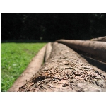 m144_4487.jpg
Po�et zobrazen�: 3635 (6854.4308 dn�) pr.=0.5303
Rozm�r: 1600 x 1200 pixel
Velikost: 413.868 kB