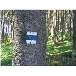 m145_4512.jpg
Po�et zobrazen�: 3730 (6854.2881 dn�) pr.=0.5442
Rozm�r: 1600 x 1200 pixel
Velikost: 679.248 kB