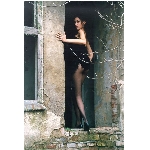 foto75035.jpg
Po�et zobrazen�: 2484 (6856.1055 dn�) pr.=0.3623
Rozm�r: 400 x 593 pixel
Velikost: 57.745 kB