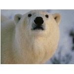 foto-22.jpg
Počet zobrazení: 3170 (6850.9972 dní) pr.=0.4627
Rozměr: 640 x 480 pixel
Velikost: 77.735 kB