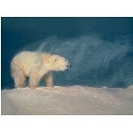 foto-26.jpg
Počet zobrazení: 3138 (6849.6106 dní) pr.=0.4581
Rozměr: 640 x 480 pixel
Velikost: 75.959 kB