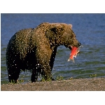 foto-27.jpg
Počet zobrazení: 2985 (6850.8817 dní) pr.=0.4357
Rozměr: 640 x 480 pixel
Velikost: 147.177 kB