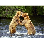 foto-5.jpg
Počet zobrazení: 3107 (6850.4228 dní) pr.=0.4535
Rozměr: 640 x 480 pixel
Velikost: 200.434 kB