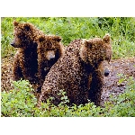 foto-6.jpg
Počet zobrazení: 3055 (6849.3243 dní) pr.=0.4460
Rozměr: 640 x 480 pixel
Velikost: 266.074 kB