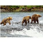 foto-7.jpg
Počet zobrazení: 3008 (6849.0538 dní) pr.=0.4392
Rozměr: 640 x 480 pixel
Velikost: 178.412 kB