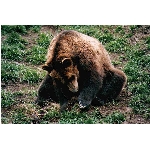 foto-72.jpg
Počet zobrazení: 3126 (6850.3547 dní) pr.=0.4563
Rozměr: 600 x 400 pixel
Velikost: 128.328 kB