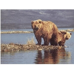 foto-73.jpg
Počet zobrazení: 3106 (6851.7094 dní) pr.=0.4533
Rozměr: 640 x 480 pixel
Velikost: 78.34 kB