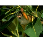 foto-32.jpg
Po�et zobrazen�: 3821 (6858.0852 dn�) pr.=0.5572
Rozm�r: 640 x 480 pixel
Velikost: 126.651 kB