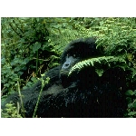 foto-33.jpg
Po�et zobrazen�: 3395 (6858.0937 dn�) pr.=0.4950
Rozm�r: 640 x 480 pixel
Velikost: 142.87 kB