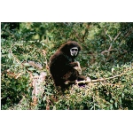 foto-93.jpg
Po�et zobrazen�: 3406 (6858.0810 dn�) pr.=0.4966
Rozm�r: 600 x 400 pixel
Velikost: 130.741 kB