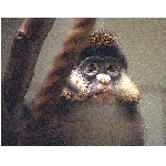 foto-98.jpg
Po�et zobrazen�: 3398 (6858.0880 dn�) pr.=0.4955
Rozm�r: 500 x 393 pixel
Velikost: 130.616 kB