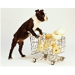 bostonth1.jpg
Po�et zobrazen�: 3120 (6851.1210 dn�) pr.=0.4554
Rozm�r: 420 x 332 pixel
Velikost: 30.975 kB