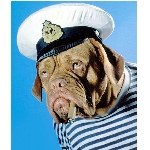 kapt.jpg
Po�et zobrazen�: 3201 (6851.6327 dn�) pr.=0.4672
Rozm�r: 370 x 435 pixel
Velikost: 46.006 kB