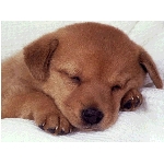 stene.jpg
Po�et zobrazen�: 3027 (6851.3874 dn�) pr.=0.4418
Rozm�r: 1024 x 768 pixel
Velikost: 87.999 kB