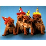 stene2.jpg
Po�et zobrazen�: 3717 (6852.5585 dn�) pr.=0.5424
Rozm�r: 420 x 315 pixel
Velikost: 36.318 kB