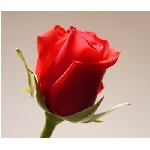 if-04257.jpg
Po�et zobrazen�: 3329 (6856.6013 dn�) pr.=0.4855
Rozm�r: 350 x 300 pixel
Velikost: 14.471 kB