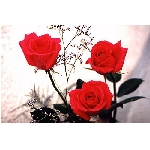 jf-02869.jpg
Po�et zobrazen�: 3767 (6858.1309 dn�) pr.=0.5493
Rozm�r: 350 x 233 pixel
Velikost: 28.413 kB