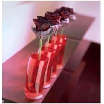 ruze_zasebou.jpg
Po�et zobrazen�: 3597 (6858.1340 dn�) pr.=0.5245
Rozm�r: 254 x 264 pixel
Velikost: 9.199 kB