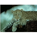 foto-35.jpg
Po�et zobrazen�: 3208 (6851.1116 dn�) pr.=0.4682
Rozm�r: 640 x 480 pixel
Velikost: 117.957 kB