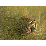 foto-39.jpg
Po�et zobrazen�: 3161 (6851.3667 dn�) pr.=0.4614
Rozm�r: 640 x 480 pixel
Velikost: 123.282 kB