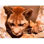 foto-44.jpg
Po�et zobrazen�: 3119 (6850.9921 dn�) pr.=0.4553
Rozm�r: 640 x 480 pixel
Velikost: 206.787 kB