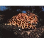 foto-57.jpg
Po�et zobrazen�: 3182 (6851.1080 dn�) pr.=0.4645
Rozm�r: 1024 x 768 pixel
Velikost: 371.788 kB