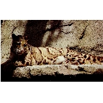 foto-80.jpg
Po�et zobrazen�: 3132 (6851.1124 dn�) pr.=0.4572
Rozm�r: 1024 x 622 pixel
Velikost: 165.304 kB