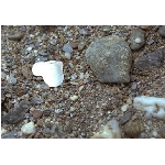 kaminky.jpg
Po�et zobrazen�: 3466 (6848.5329 dn�) pr.=0.5061
Rozm�r: 385 x 269 pixel
Velikost: 38.759 kB