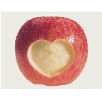 srdce-2.jpg
Po�et zobrazen�: 3203 (6849.3715 dn�) pr.=0.4676
Rozm�r: 420 x 324 pixel
Velikost: 20.087 kB