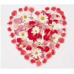 srdce-4.jpg
Po�et zobrazen�: 3372 (6848.3876 dn�) pr.=0.4924
Rozm�r: 420 x 367 pixel
Velikost: 38.574 kB