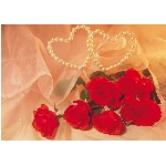 srdce-7.jpg
Po�et zobrazen�: 3365 (6848.4688 dn�) pr.=0.4914
Rozm�r: 420 x 297 pixel
Velikost: 24.669 kB