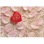 srdce-8.jpg
Po�et zobrazen�: 3164 (6849.0014 dn�) pr.=0.4620
Rozm�r: 420 x 297 pixel
Velikost: 48.128 kB