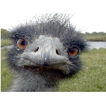 kontrola2.jpg
Po�et zobrazen�: 3193 (6851.3880 dn�) pr.=0.4660
Rozm�r: 576 x 432 pixel
Velikost: 73.713 kB