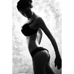 2.jpg
Počet zobrazení: 2689 (6153.9034 dní) pr.=0.4370
Rozměr: 401 x 600 pixel
Velikost: 116.038 kB