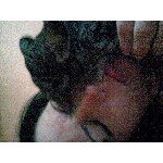 Kate�ina| Nov�kov�