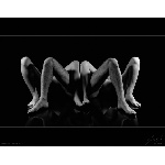 p1239614739.jpg
Počet zobrazení: 2450 (6198.3544 dní) pr.=0.3953
Rozměr: 564 x 440 pixel
Velikost: 54.748 kB