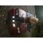 img0041.jpg
Po�et zobrazen�: 2396 (6292.6633 dn�) pr.=0.3808
Rozm�r: 600 x 450 pixel
Velikost: 260.238 kB